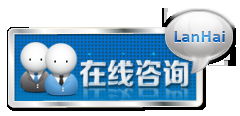 專業(yè)網(wǎng)絡技術服務領航者——藍海網(wǎng)絡公司
